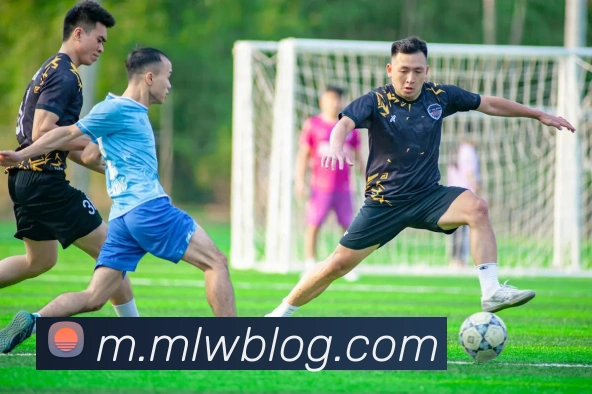 米兰milan官网平台生态图